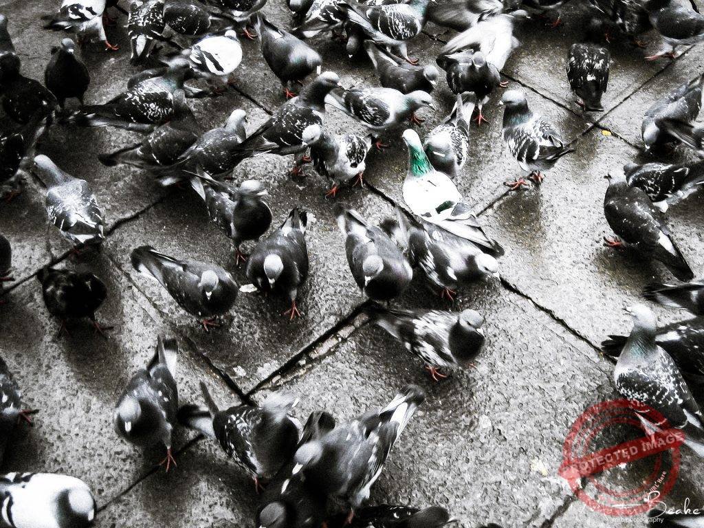 Dare to be Different