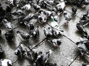 Dare to be Different