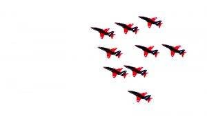 Red Arrows - Wall Ducks