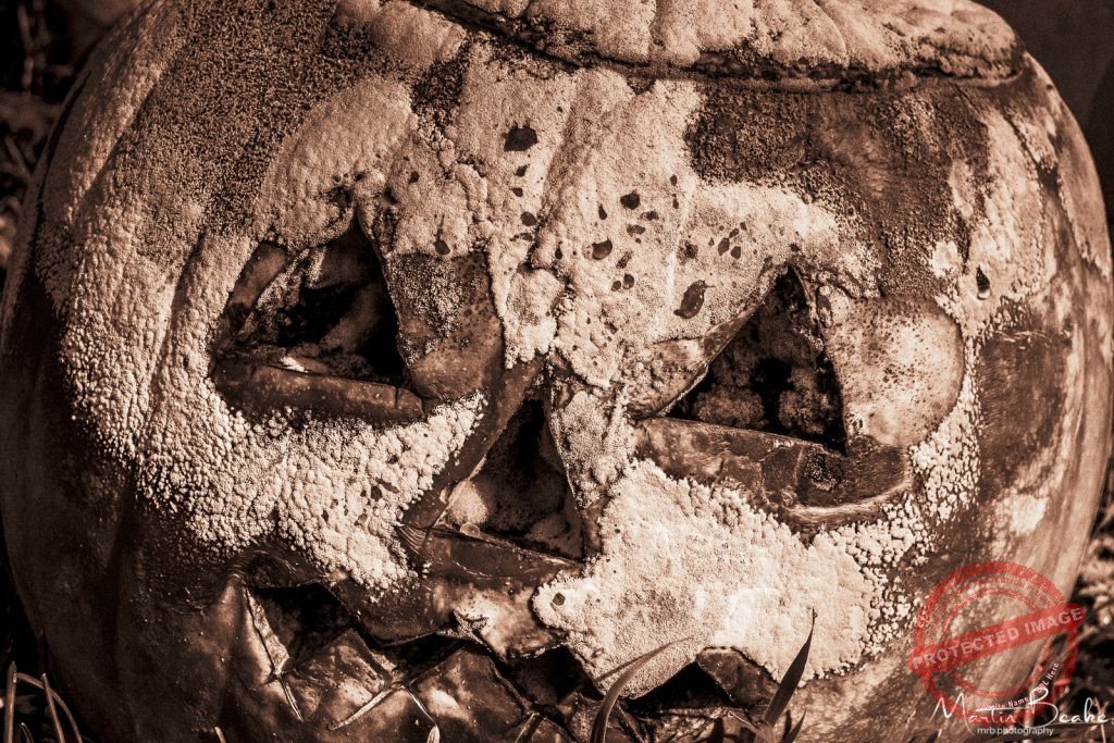 Rotten Pumpkin Face