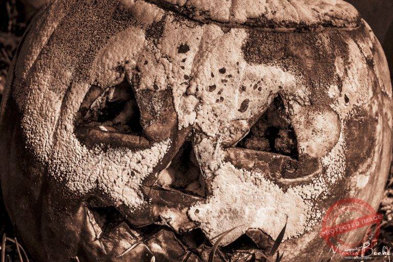 Rotten Pumpkin Face