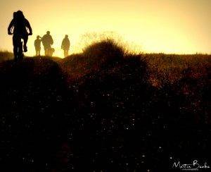 Catch up with the sun