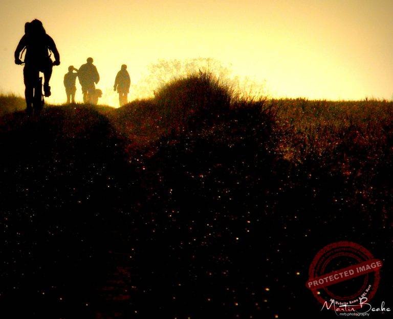 Catch up with the sun