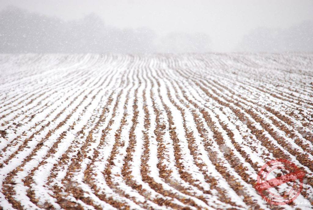 Snow Ploughed Field