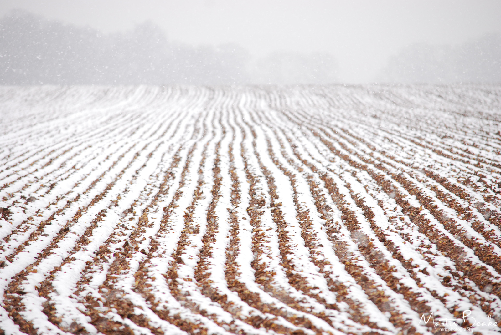 Snow Ploughed Field