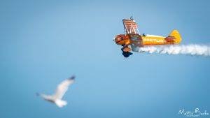 Breitling Wing Walker Team and Seagull