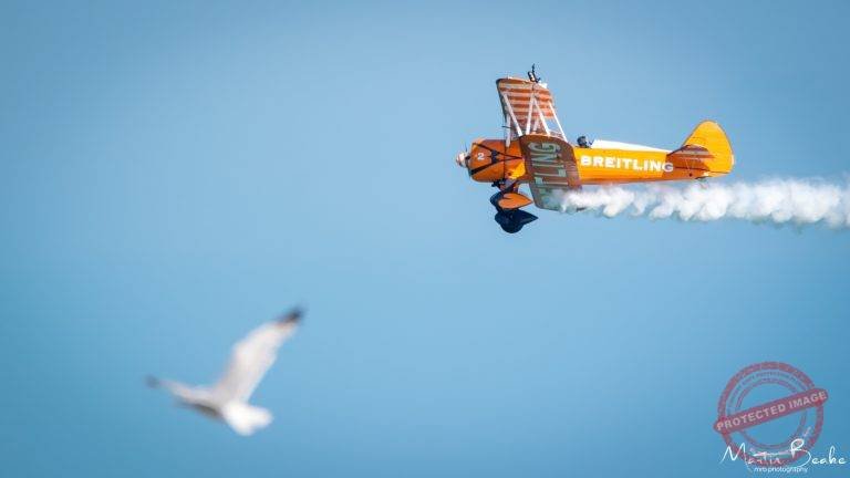 Breitling Wing Walker Team and Seagull