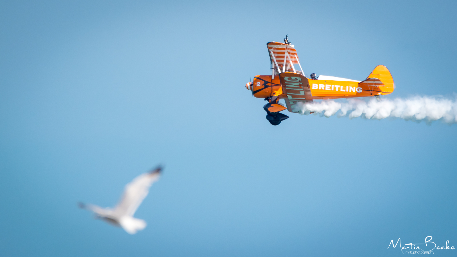 Breitling Wing Walker Team and Seagull