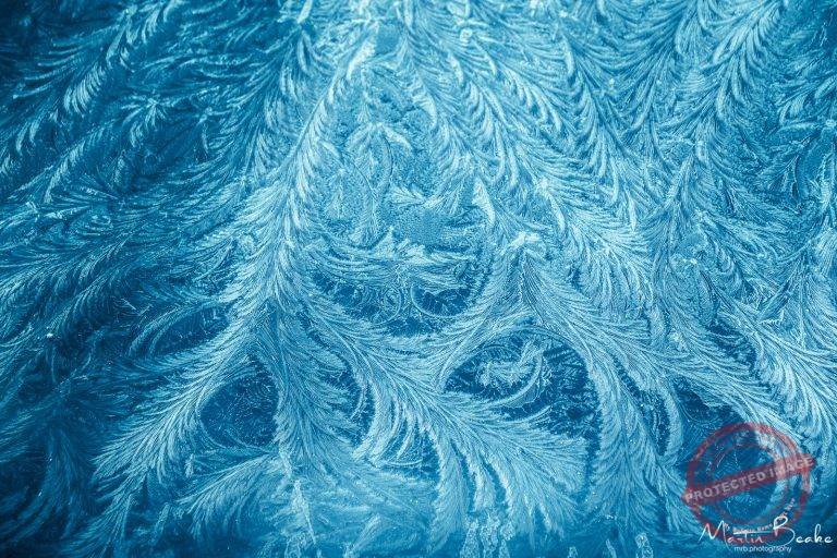 Jack Frost Patterned Window