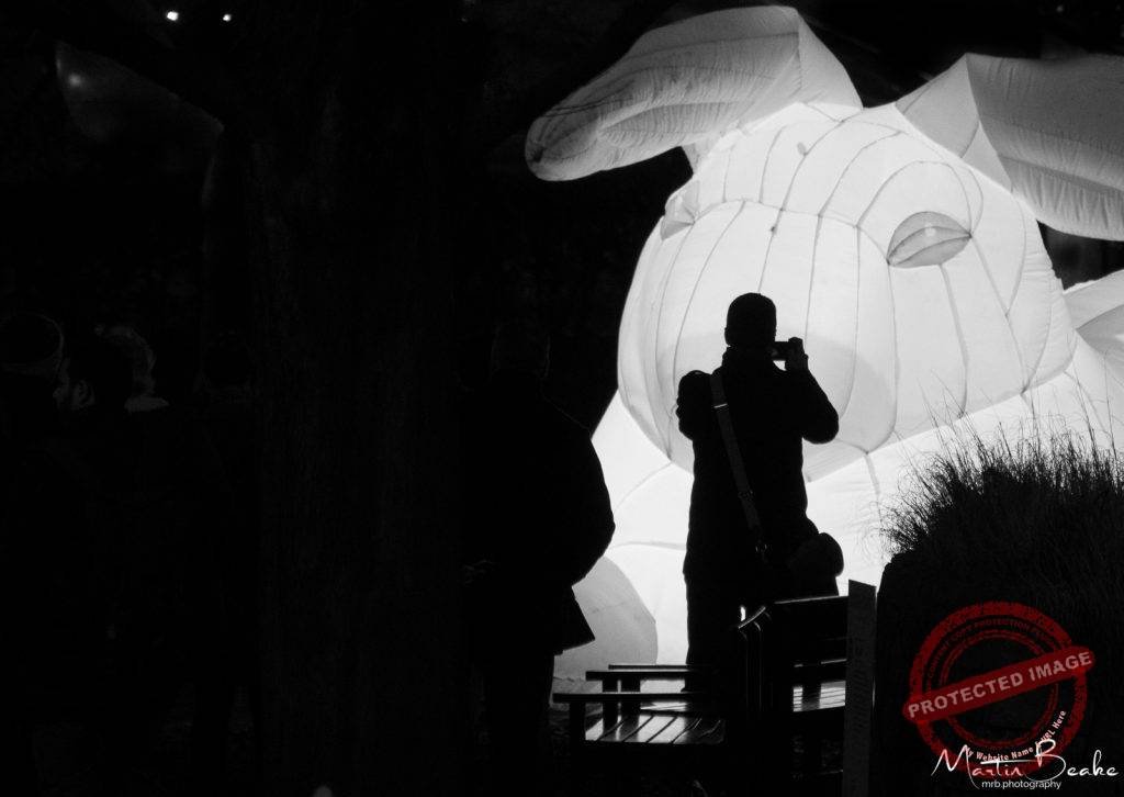 Intrude - Canary Wharf Winter Lights 2018