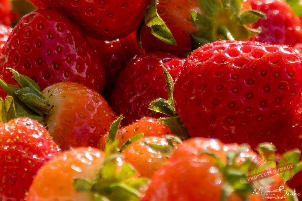 Summer Strawberries