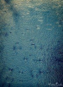 Rain Ripples