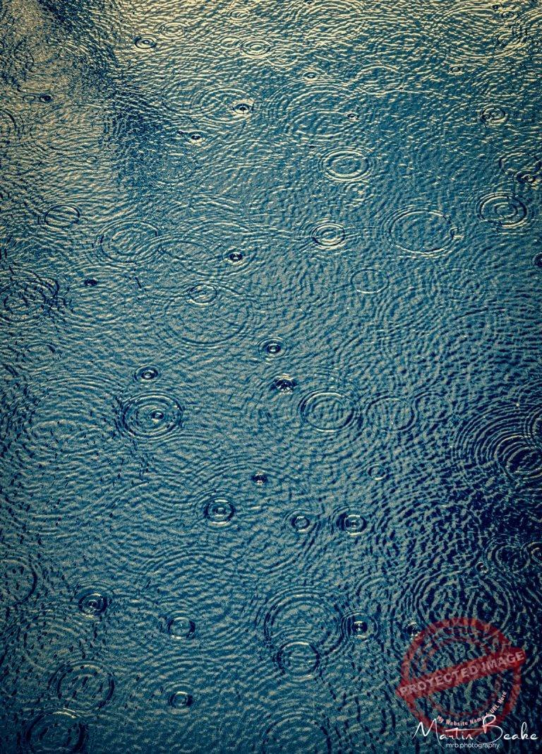 Rain Ripples