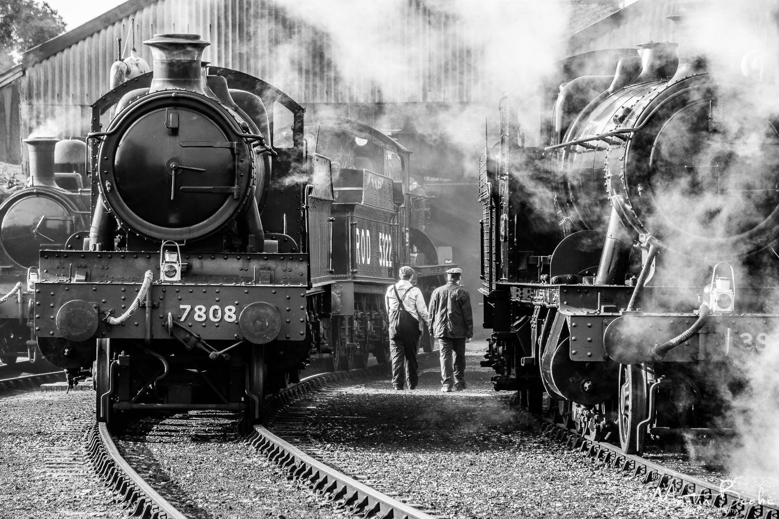 Steam Trains in Didcot Yard