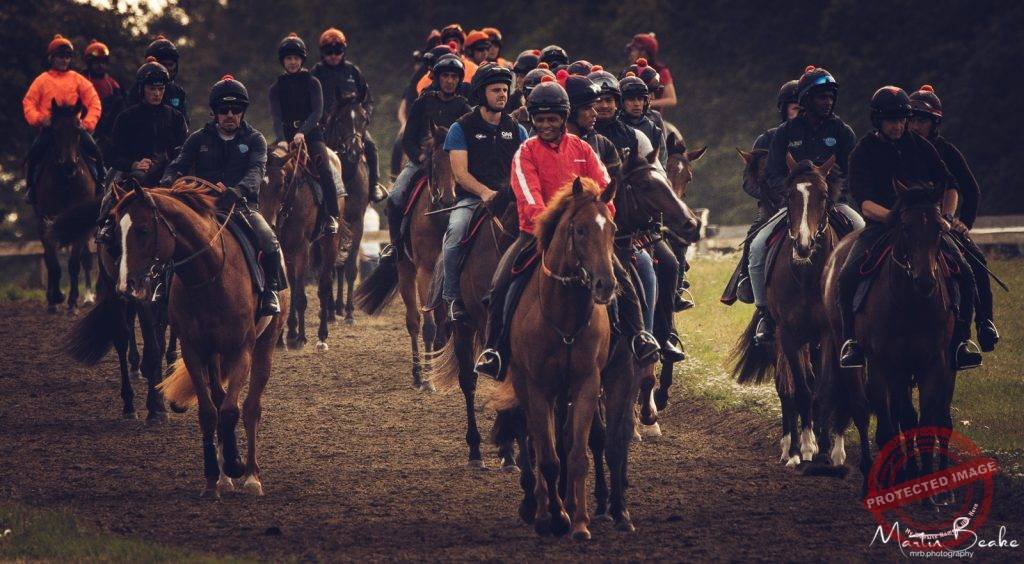 Racehorses and Jockeys on the Newmarket Gallops