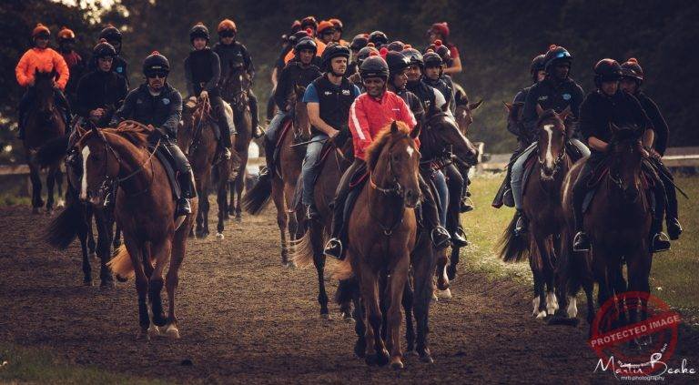 Racehorses and Jockeys on the Newmarket Gallops