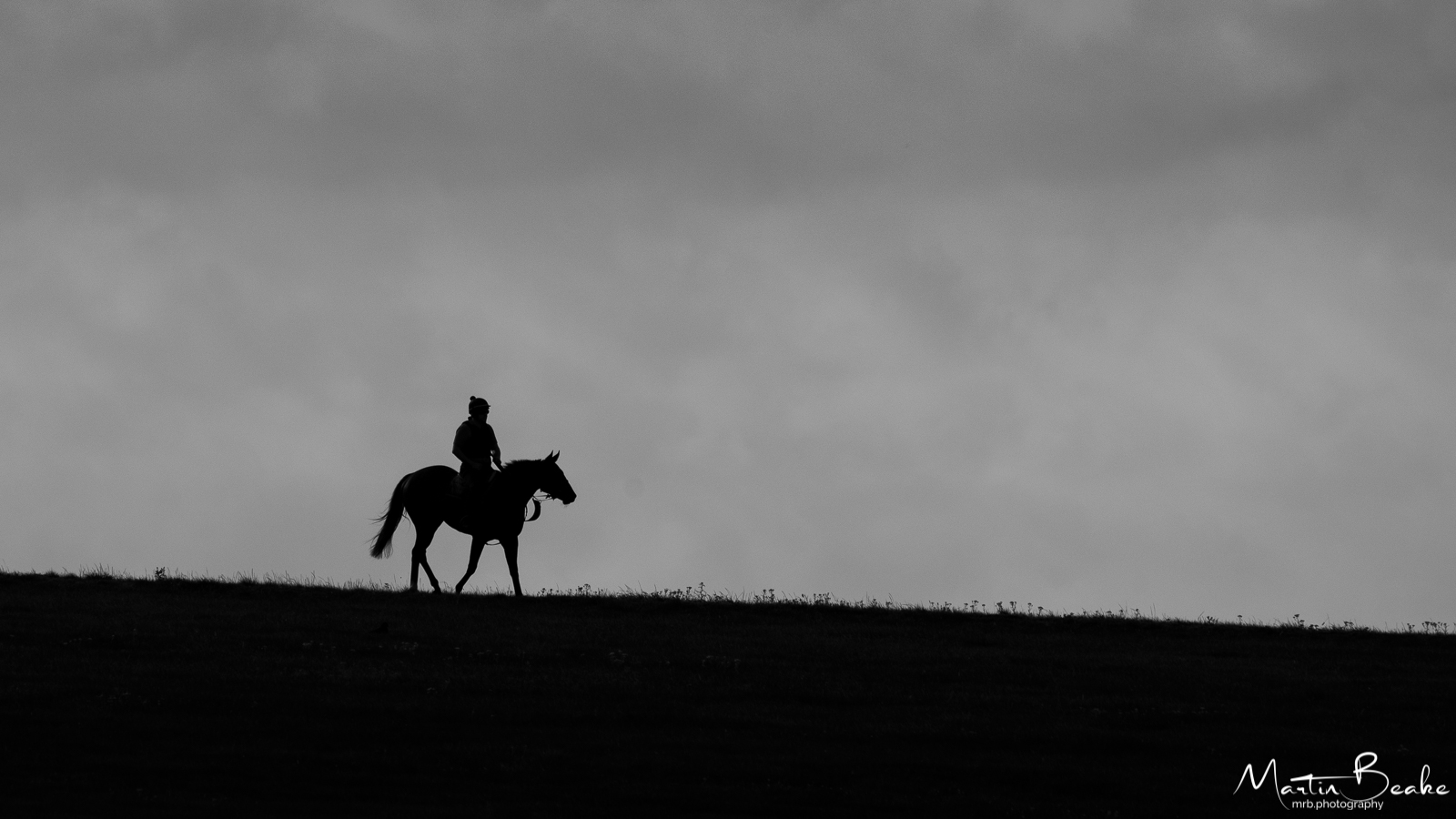 Lonesome Rider