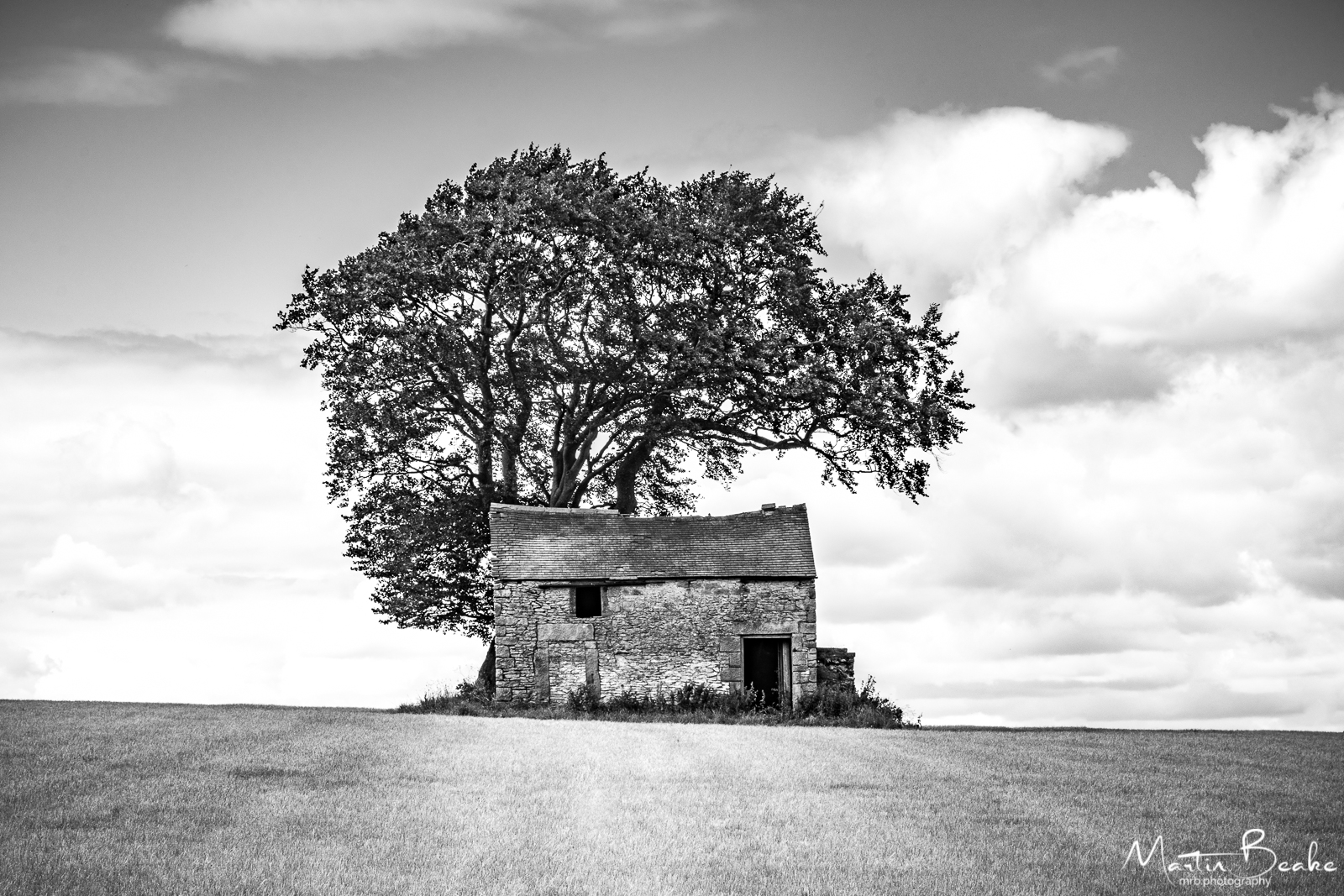 House in a Field Under a Tree