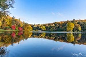 Autumn Trees at National Trust Stourhead Wiltshire