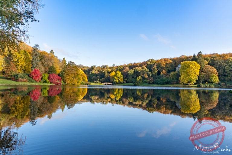 Autumn Trees at National Trust Stourhead Wiltshire