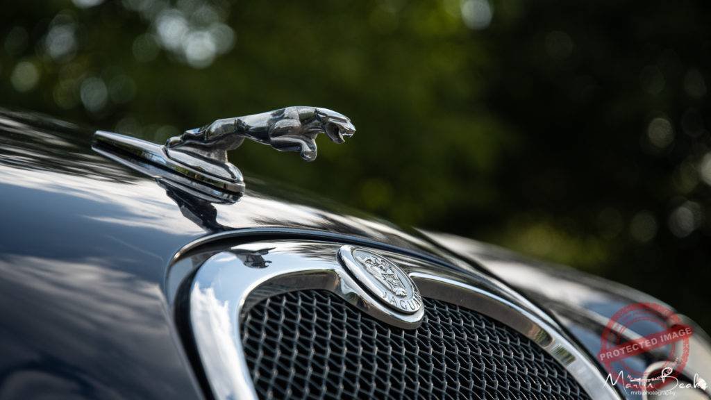 Jaguar Icons from S-Type