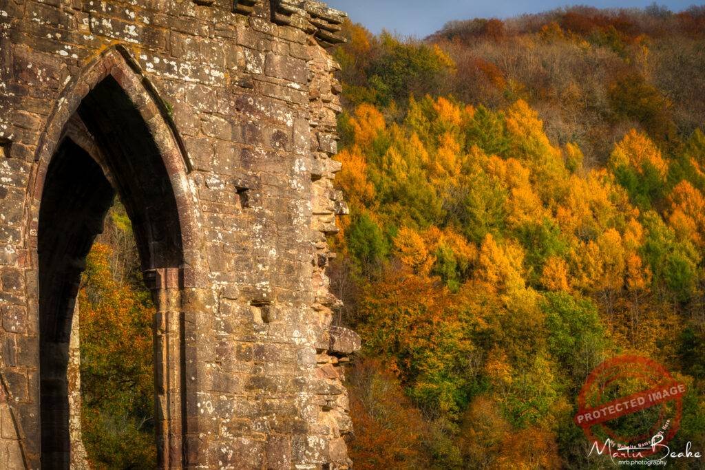 Tintern Abbey in Autumn