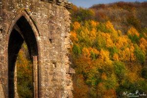 Tintern Abbey in Autumn