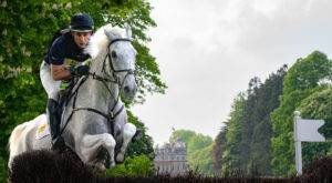Jumping Grey at Badminton Horse Trials 2024